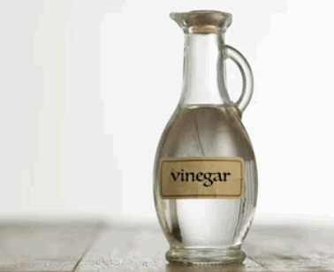 Vinegar